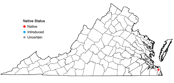 Locations ofPhyla nodiflora (L.) Greene in Virginia