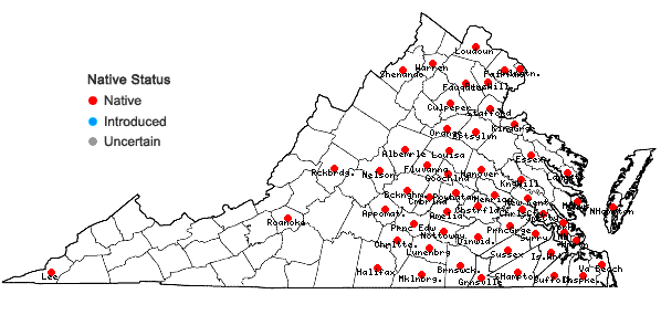 Locations ofPhyllanthus caroliniensis Walt. ssp. caroliniensis in Virginia