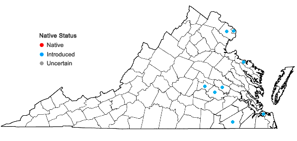 Locations ofPhyllanthus tenellus Roxb. in Virginia
