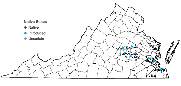 Locations ofPhyllanthus urinaria L. ssp. urinaria in Virginia
