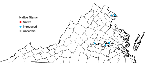 Locations ofPhyllostachys aureosulcata McClure in Virginia