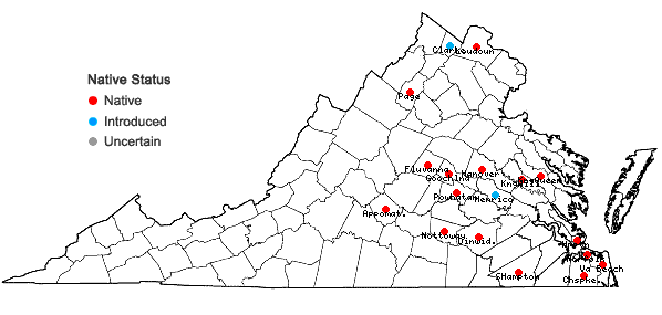 Locations ofPhysalis angulata L. in Virginia