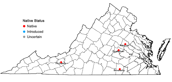 Locations ofPhysalis grisea (Waterfall) M. Martinez in Virginia