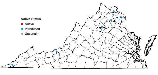 Locations ofPhysalis philadelphica Lamarck in Virginia