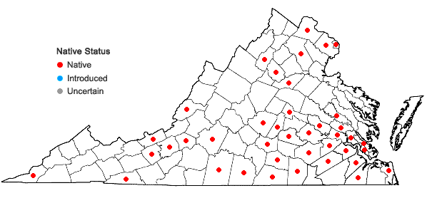 Locations ofPhysalis pubescens L. in Virginia