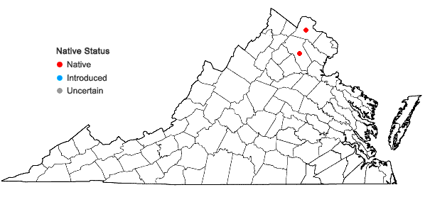 Locations ofPhyscomitrella patens (Hedw.) Bruch & Schimp. in Virginia