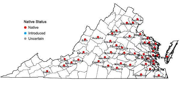 Locations ofPhyscomitrium pyriforme (Hedw.) Hampe in Virginia