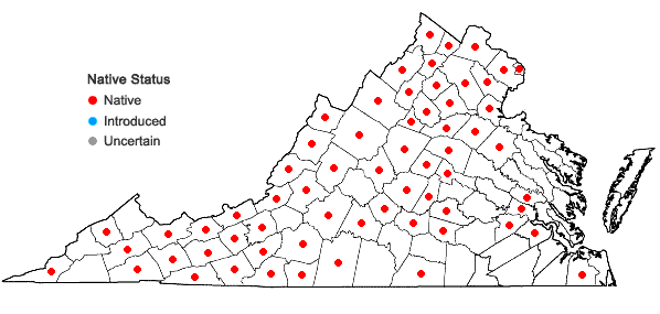 Locations ofPhysocarpus opulifolius (L.) Maxim. in Virginia
