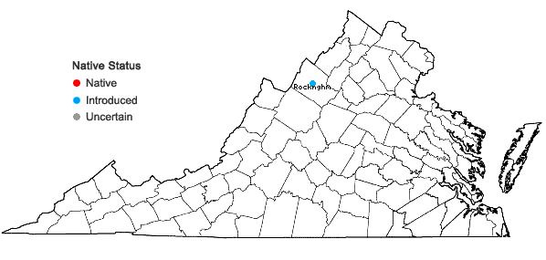 Locations ofPicea abies (L.) H. Karsten in Virginia