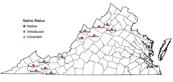 Locations ofPicea rubens Sargent in Virginia