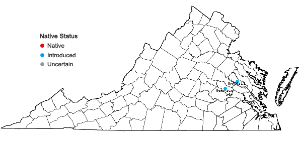 Locations ofPicris hieracioides L. in Virginia