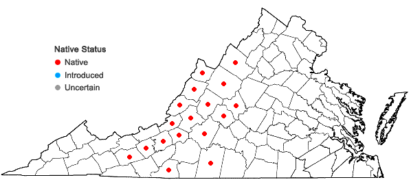 Locations ofPieris floribunda (Pursh) Benth. & Hook. f. in Virginia
