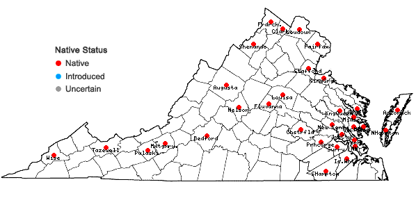 Locations ofPilea fontana (Lunell) Rydb. in Virginia