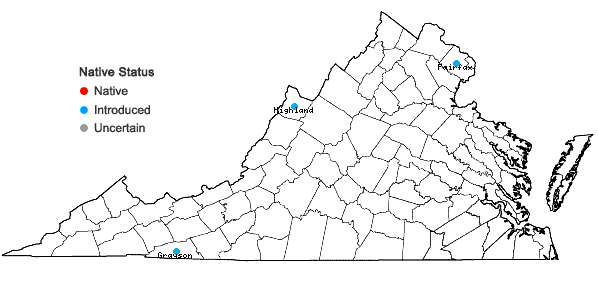 Locations ofPilosella aurantiaca (L.) F. Schultz & Schultz Bip. in Virginia
