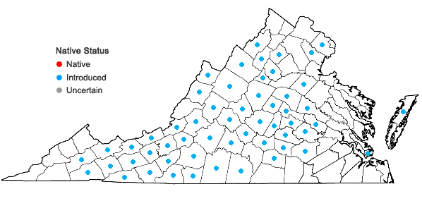 Locations ofPilosella officinarum F. Schultz & Schultz Bip. in Virginia