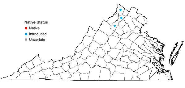 Locations ofPimpinella saxifraga L. ssp. saxifraga in Virginia
