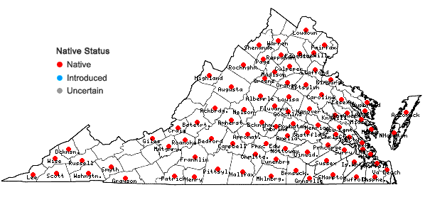 Locations ofPinus echinata Miller in Virginia