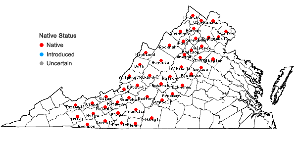 Locations ofPinus pungens Lambert in Virginia