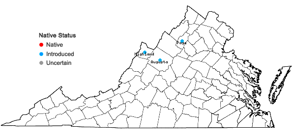Locations ofPinus resinosa Aiton in Virginia