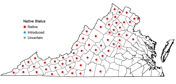 Locations ofPinus rigida Miller in Virginia