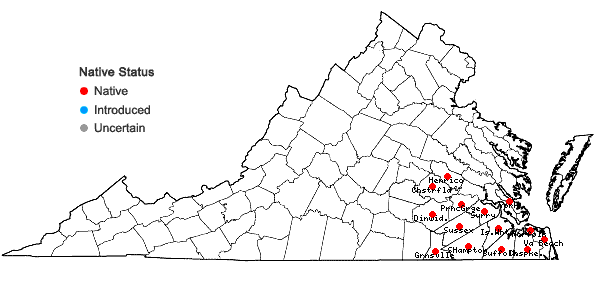 Locations ofPinus serotina Michaux in Virginia