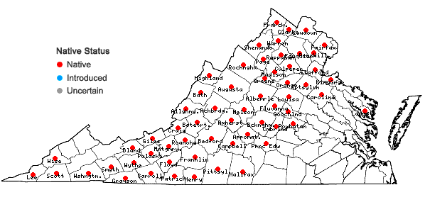 Locations ofPinus strobus L. in Virginia