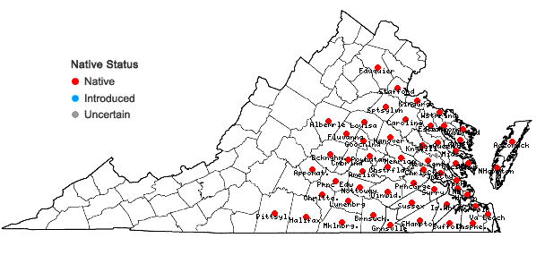 Locations ofPinus taeda L. in Virginia