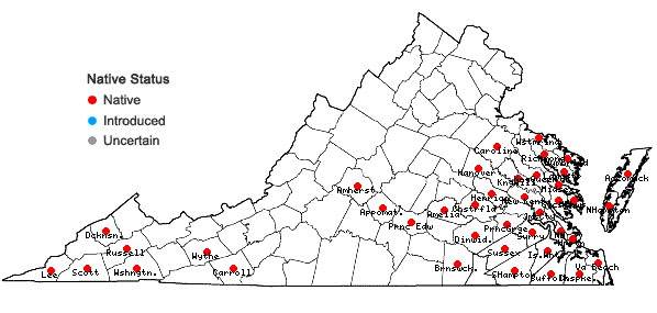 Locations ofPityopsis nervosa (Willd.) Dress in Virginia