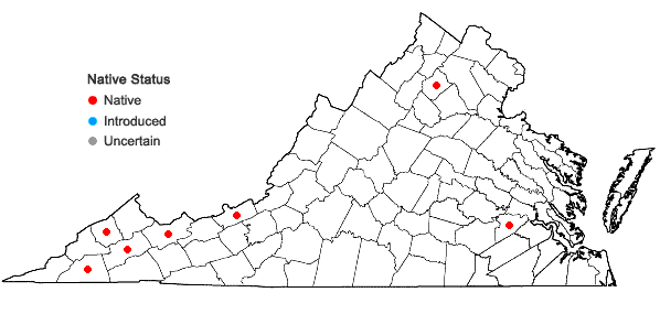 Locations ofPlagiochila austinii A. Evans in Virginia