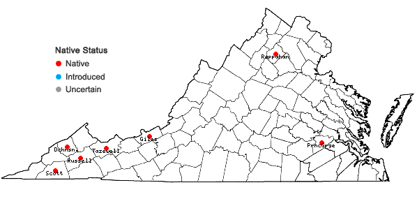 Locations ofPlagiochila austinii A. Evans in Virginia