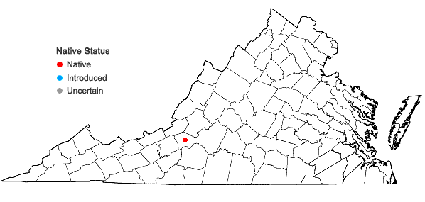 Locations ofPlagiochila praemorsa Steph. in Virginia