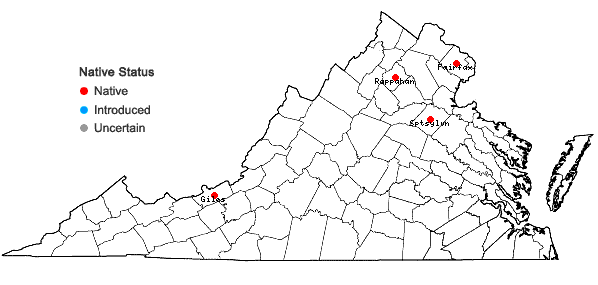 Locations ofPlagiochila raddiana Lindenb. in Virginia