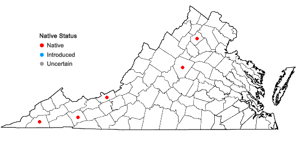 Locations ofPlagiochila sullivantii Gottsche ex A. Evans in Virginia