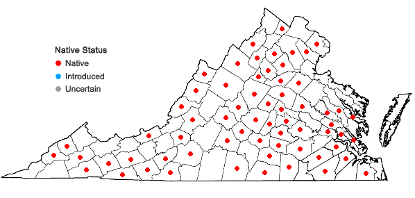 Locations ofPlagiomnium ciliare (Müll. Hal.) T.J. Kop. in Virginia