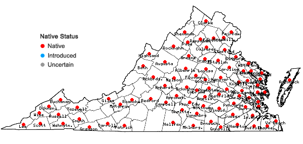 Locations ofPlagiomnium cuspidatum (Hedw.) T.J. Kop. in Virginia