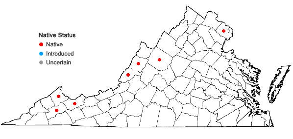 Locations ofPlagiomnium ellipticum (Brid.) T.J. Kop. in Virginia