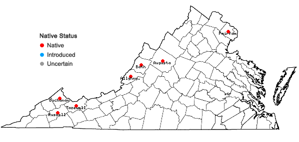 Locations ofPlagiomnium ellipticum (Brid.) T.J. Kop. in Virginia