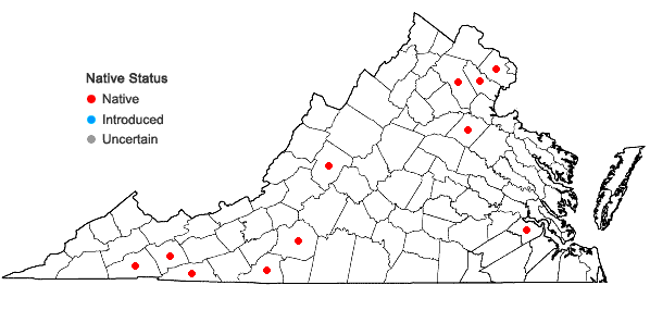 Locations ofPlagiomnium rostratum (Schrad.) T.J. Kop. in Virginia