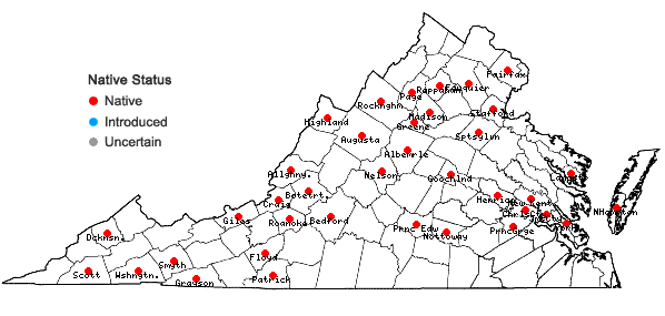 Locations ofPlagiothecium cavifolium (Brid.) Z. Iwats. in Virginia