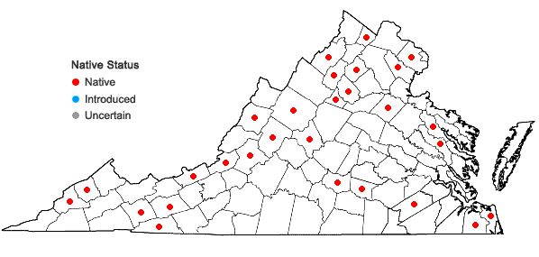 Locations ofPlagiothecium denticulatum (Hedw.) Schimp. in Virginia