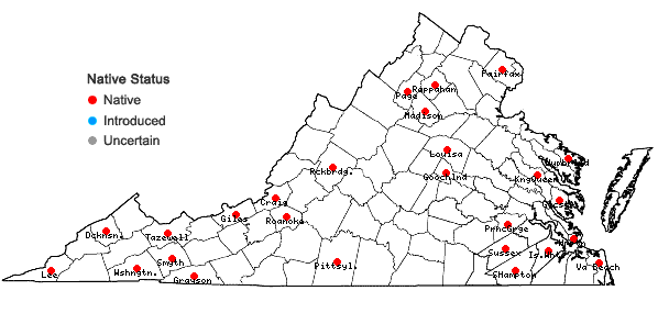 Locations ofPlagiothecium laetum Schimp. in Virginia