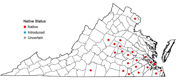 Locations ofPlanodes virginicum (L.) E.L. Greene in Virginia