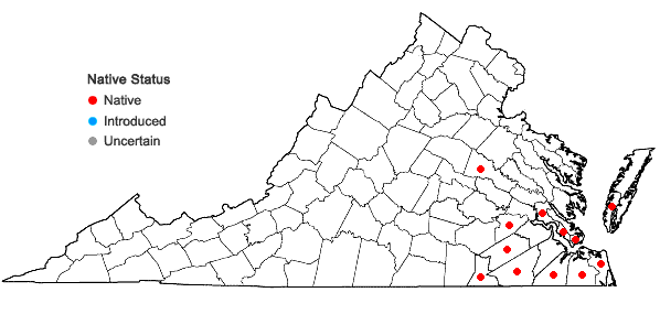 Locations ofPlantago heterophylla Nuttall in Virginia