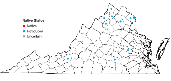 Locations ofPlantago major L. in Virginia