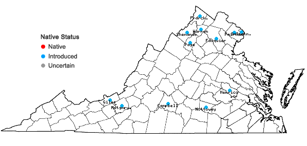 Locations ofPlantago major L. in Virginia
