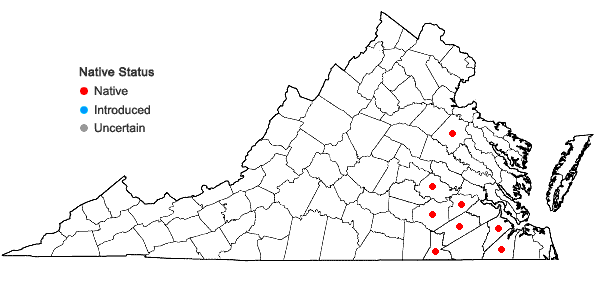 Locations ofPlatanthera blephariglottis (Willd.) Lindl. in Virginia