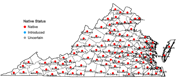 Locations ofPlatanthera clavellata (Michx.) Luer in Virginia
