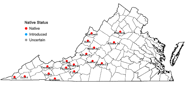 Locations ofPlatanthera flava (L.) Lindl. var. herbiola (R.Br. ex Ait.f.) Luer in Virginia
