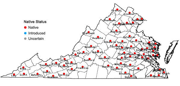 Locations ofPlatanthera lacera (Michx.) G. Don in Virginia