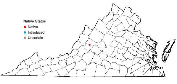 Locations ofPlatydictya minutissima (Sull. & Lesq.) H.A. Crum in Virginia